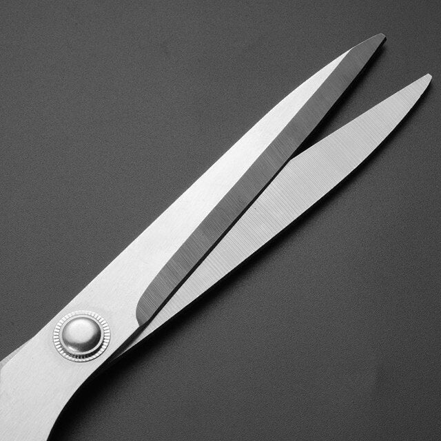 Stainless Steel Student Scissors