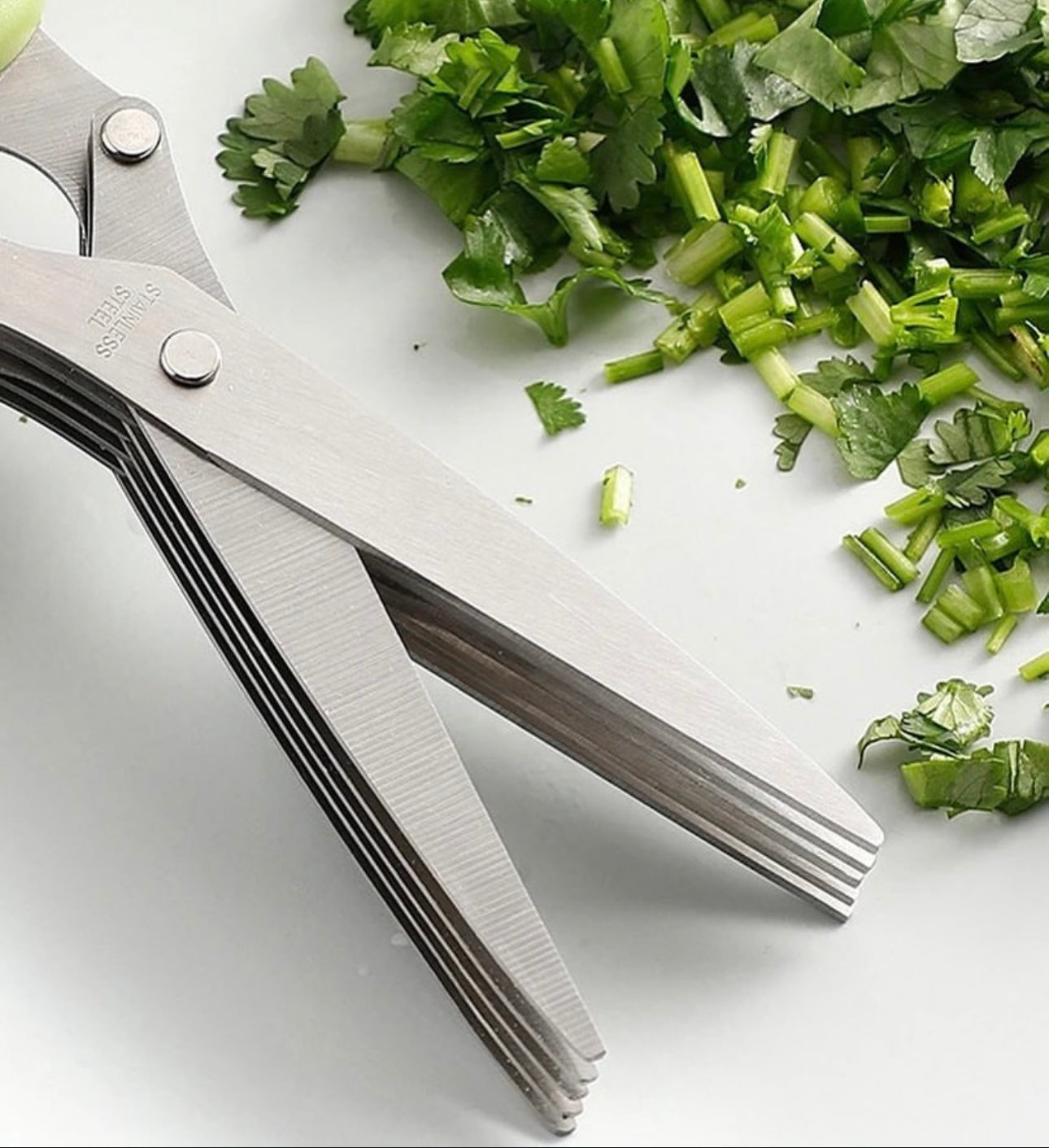 5 Layer Herb Scissors